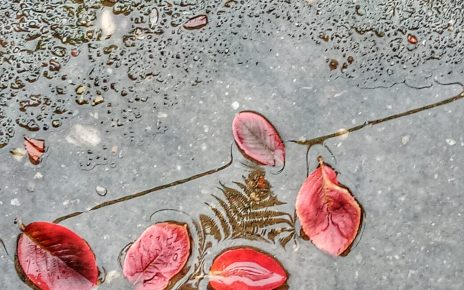 ЈЕСЕЊА КИША (фото: Слађана Белић)