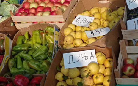 ПИЈАЦА (фото: Мима Зиндовић)