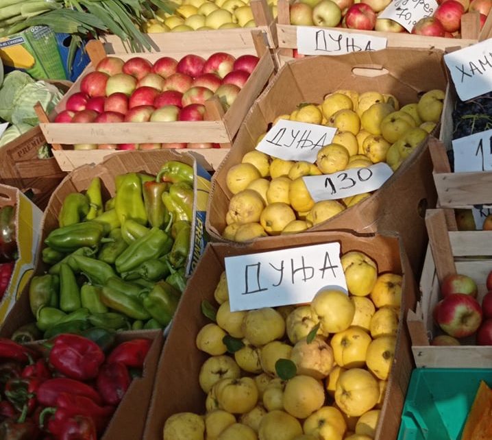 ПИЈАЦА (фото: Мима Зиндовић)