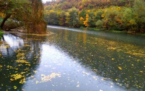 ЈЕСЕН (фото: Драган Ђоловић)