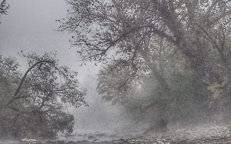 Јутарњи мраз (фото: Слађана Белић)