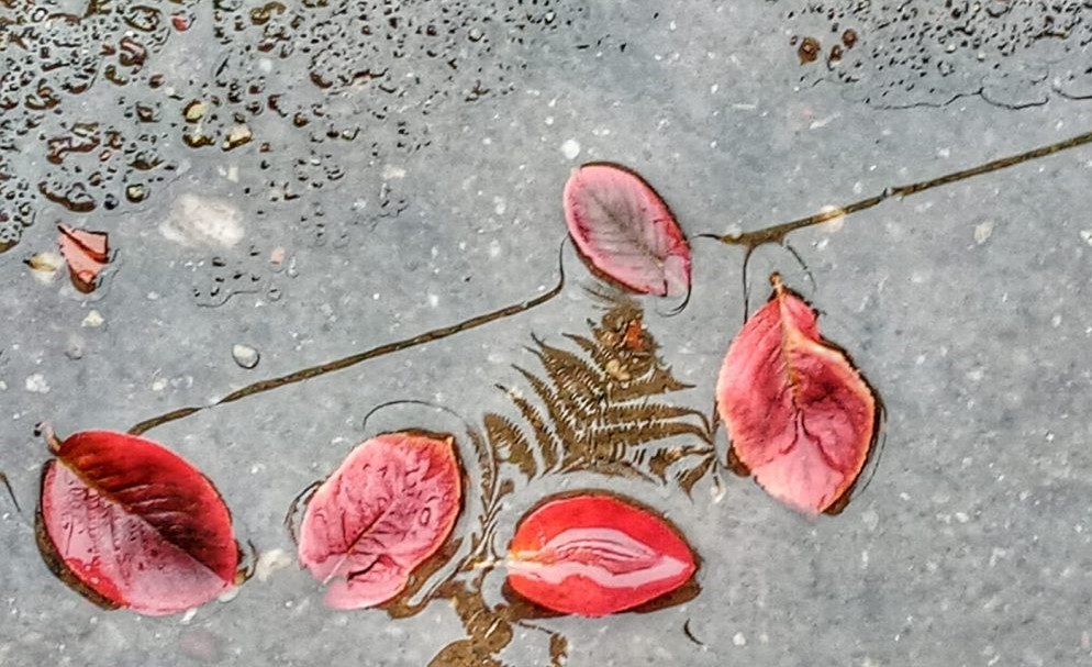 КИША, фотзо Слађана Белић (само за насловну)