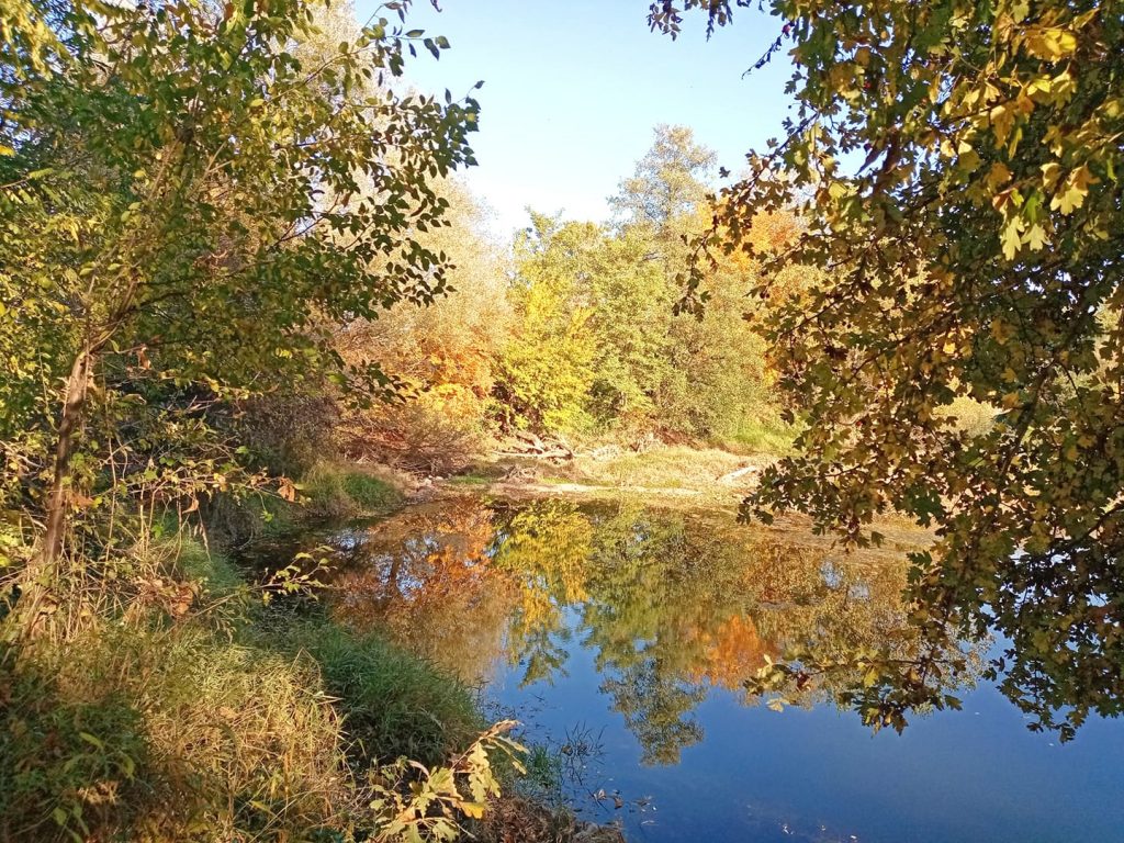 ЈЕСЕН (фото: Стана Димић)