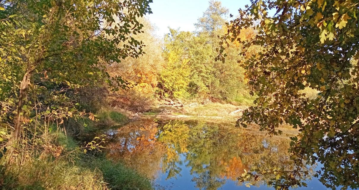 ЈЕСЕН (фото: Стана Димић)