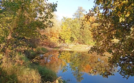 ЈЕСЕН (фото: Стана Димић)