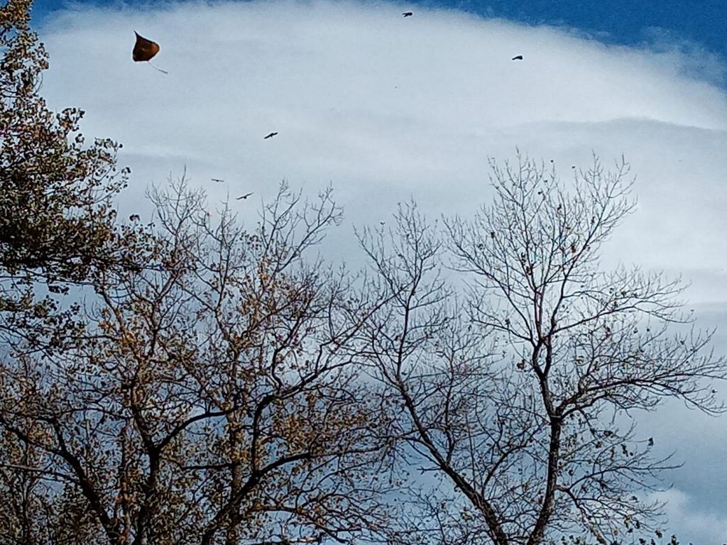 ЈЕСЕЊА МАГЛА (фото: Слађана Белић)