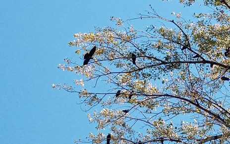 ЈЕСЕН (фото: Слађана Белић)