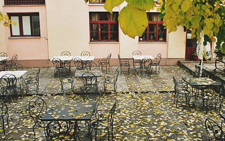 ЈЕСЕН (фото: Катарина Миловановић)