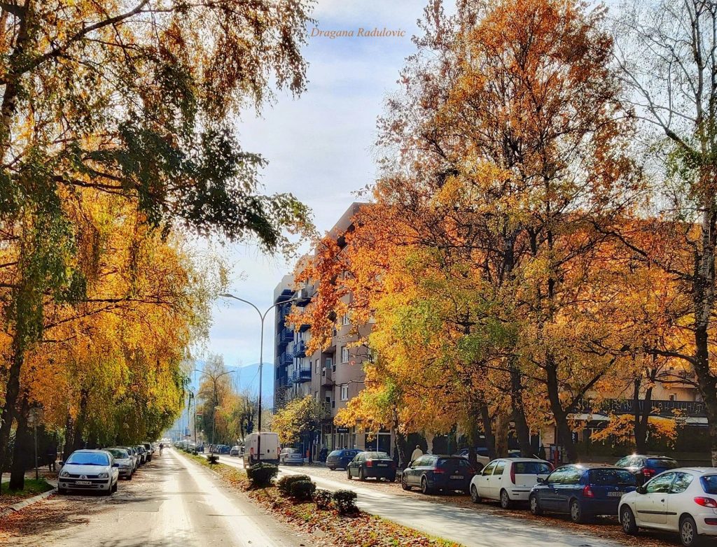 ЈЕСЕН (фото: Драгана Радуловић)