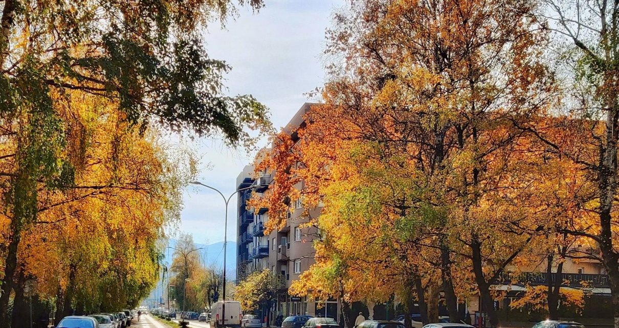 ЈЕСЕН (фото: Драгана Радуловић)