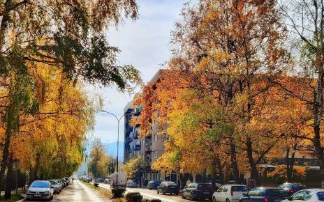 ЈЕСЕН (фото: Драгана Радуловић)