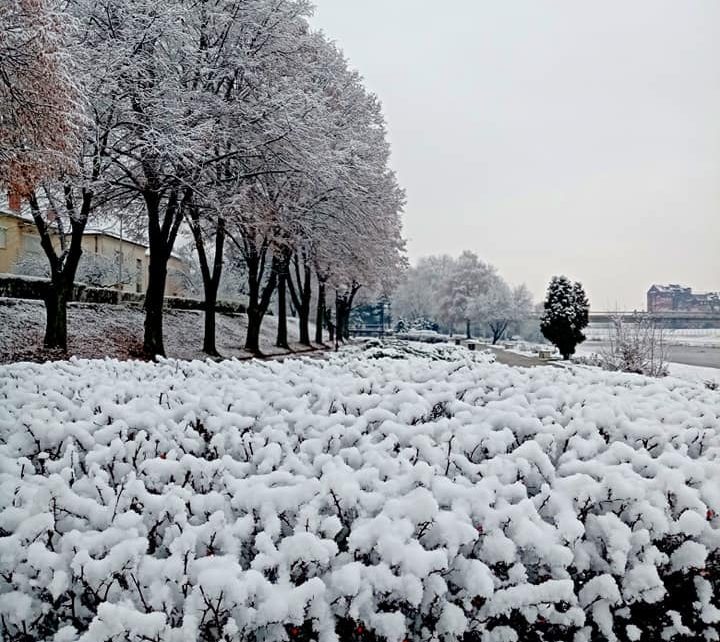 СНЕГ, фото: Стана Димић
