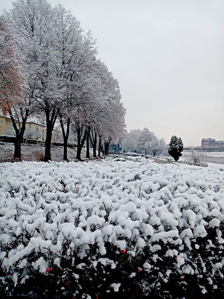 СНЕГ, фото: Стана Димић