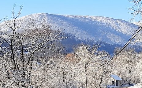 СНЕГ, фото: Дарка Симеуновић