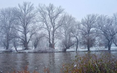 СНЕГ (фото: Слађана Белић)