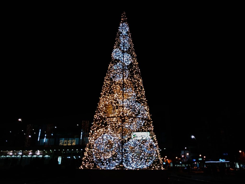 ЈЕЛКА Фото: Слађана Белић