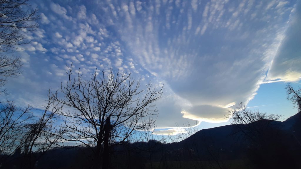 ЈАНУАР (фото: Дарка Симеуновић)