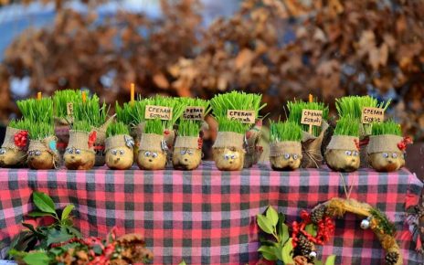 БОЖИЋ, Фото: Драган Гане Тодоровић