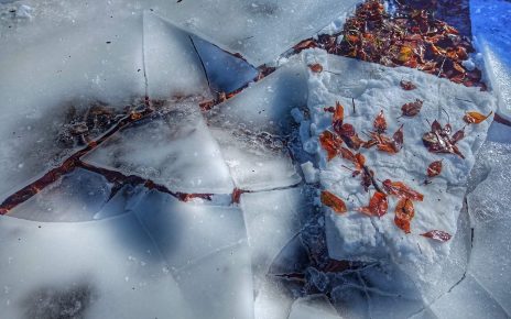 ЛЕДЕНИ ДАНИ, фото: Слађана Белић