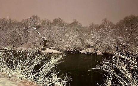 Јануар, фото: Светлана Вукомановић
