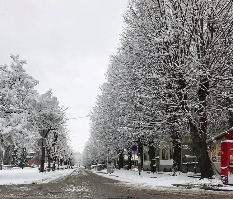 Снег, фото: Дијана Јана Вујовић