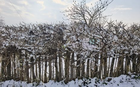 ЗИМА, фото: Зорица Милошевић