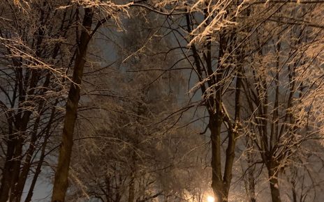 ЗИМА. фото: Дијана Јана Вујовић