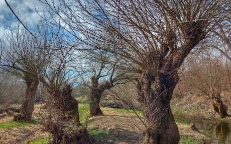 Фото: Слађана Белић