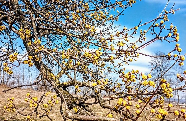 Фото: Дубравка Милошевић (МАРТ) насловна