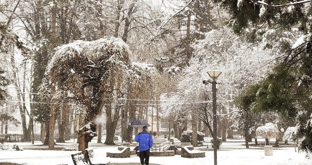 ЗИМА, фото: Слађана Шутић