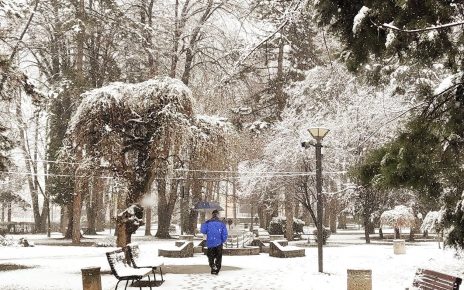 ЗИМА, фото: Слађана Шутић