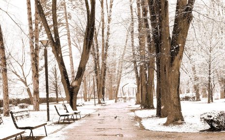 ЗИМА, фото: Слађана Шутић