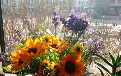 ПРОЛЕЋЕ (фото: Мима Зиндовић)