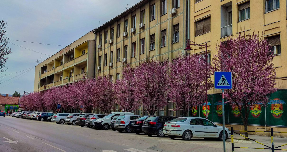 ПРОЛЕЋЕ (Фото: Драгиша Трашевић)