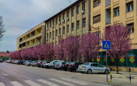 ПРОЛЕЋЕ (Фото: Драгиша Трашевић)