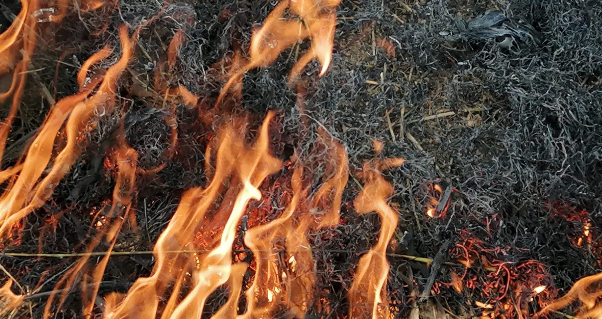 Ватра, фото: Ј. Пауновић