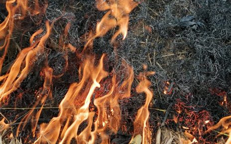 Ватра, фото: Ј. Пауновић