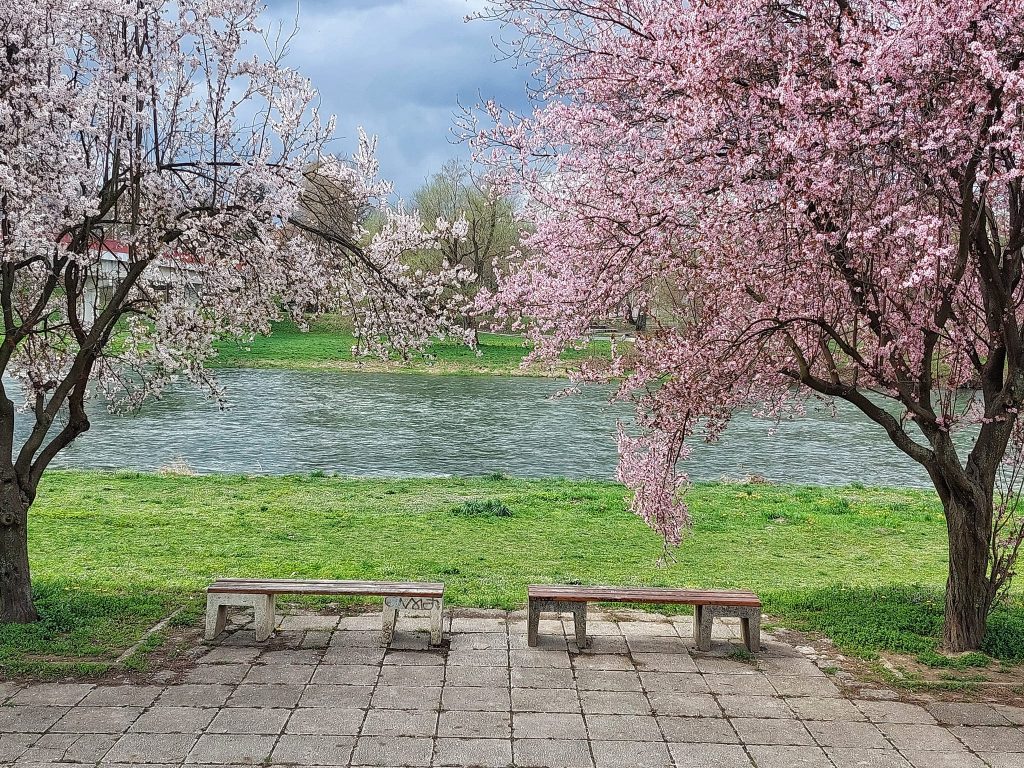 ПРОЛЕЋЕ, фото: Слађана Белић