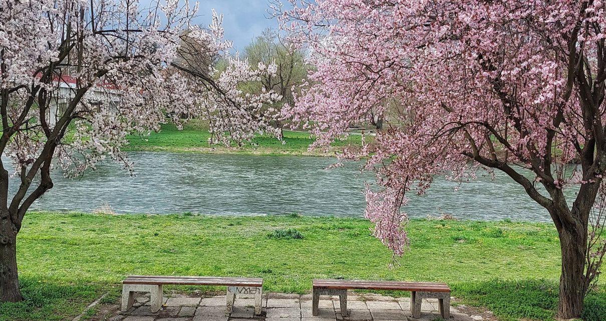 ПРОЛЕЋЕ, фото: Слађана Белић