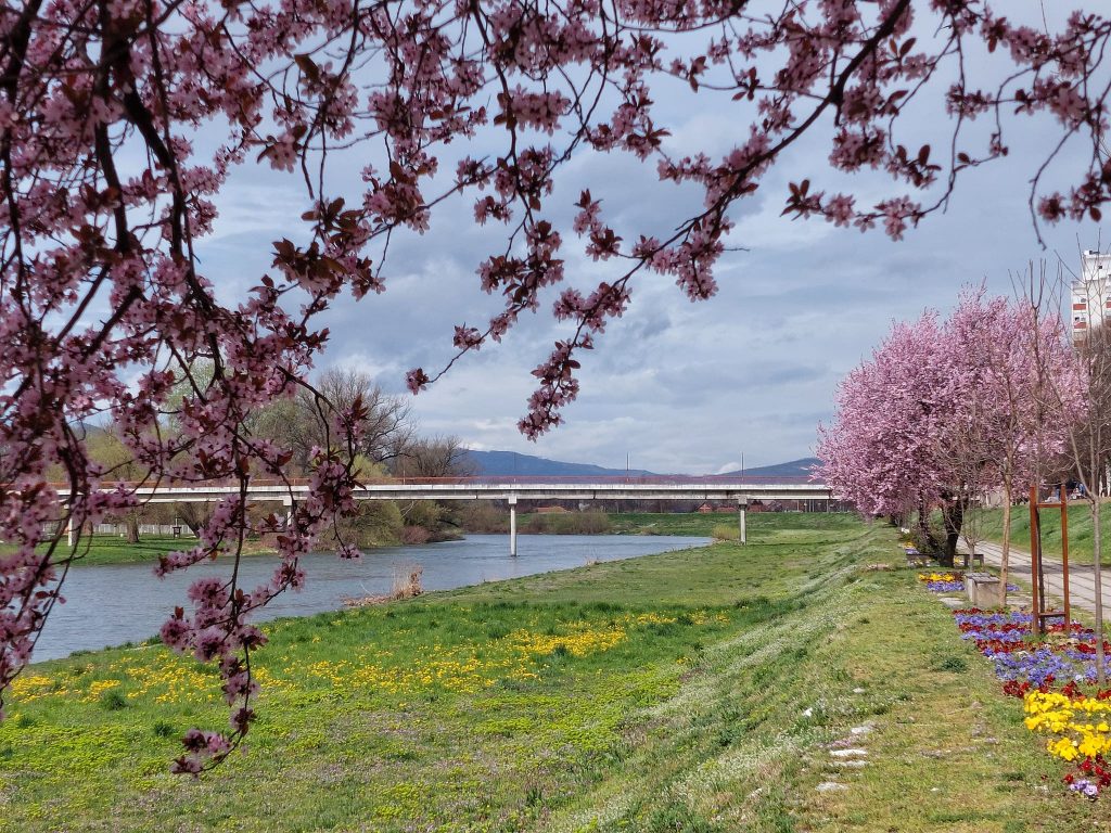 ПРОЛЕЋЕ, фото: Слађана Белић