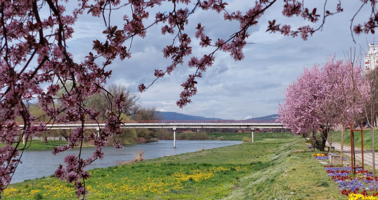ПРОЛЕЋЕ, фото: Слађана Белић
