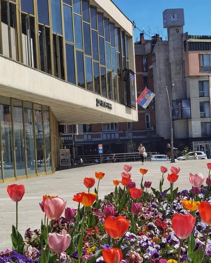 ДОМ КУЛТУРЕ, фото:: Зорица Милошевић