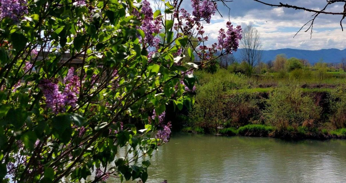 ПРОЛЕЋЕ (фото: Милан Чакајац)