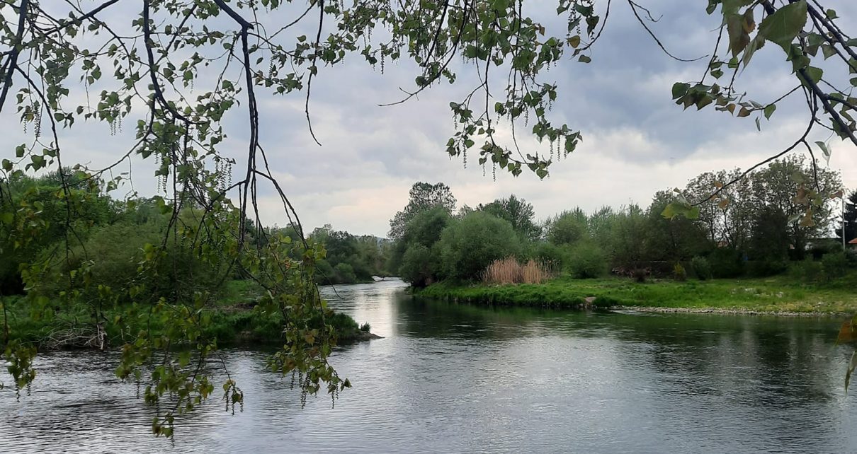 ПРОЛЕЋЕ, ФОТО: ЗОРАН ЗИНДОВИЋ