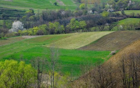 ПРОЛЕЋЕ (фото: Стефан Лукић)
