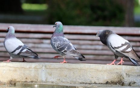 ВРЕМЕНСКА ПРОГНОЗА Фото: Слободан Симеуновић