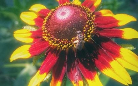 ЛЕТО, фото: Ивана Јоксић