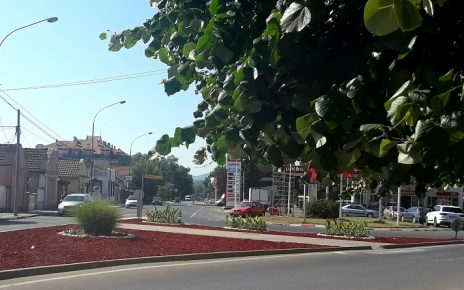 ЛЕТО, фото: Ча глас