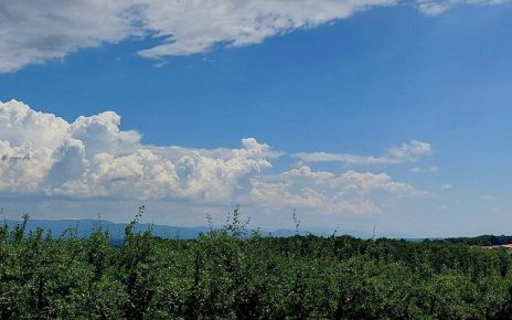 ЛЕТО, Фото: Милан Чакајац