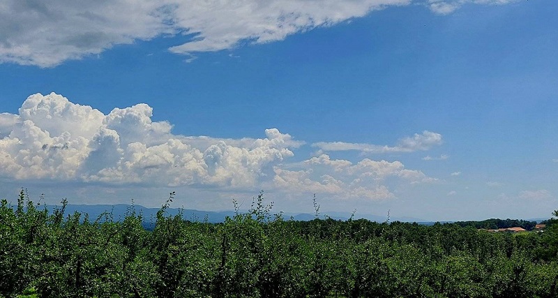 лето, Фото: Милан Чакајац